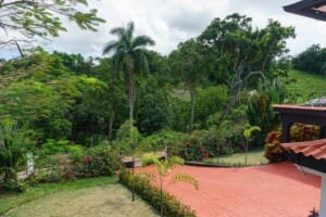 36001706 4ed0 4d9b b5eb e3b598cfb63f